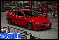 bird DC2