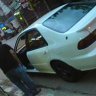 vivinz